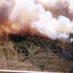 USFS prescribed burn