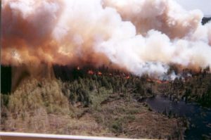 USFS prescribed burn
