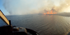 public submitted swamp fire