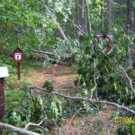 Trees across hiking trail, Chippewa National Forest blowdown 2012