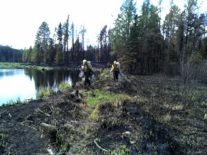 BCA fire backhauling