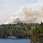 Smoke plume