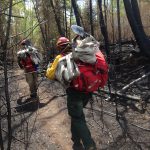 Firefighters backhauling
