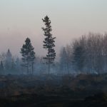 smoke-from-lake-hattie-fire-2016