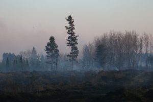 smoke-from-lake-hattie-fire-2016