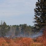 lake-hattie-fire-2016-smoke