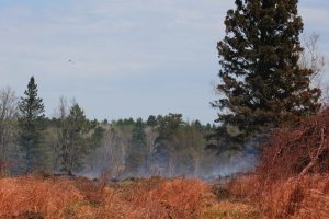 lake-hattie-fire-2016-smoke