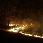 green-valley-valley-fire-2013-river-of-fire