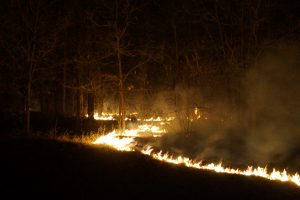green-valley-valley-fire-2013-river-of-fire