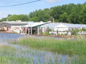 Sandbags keep a flooded street near a flower shop in Aitkin, MN in check.