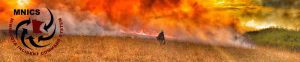 Image of a firefighter holding a gas can walking away from the prescribed fire flames toward green grass.