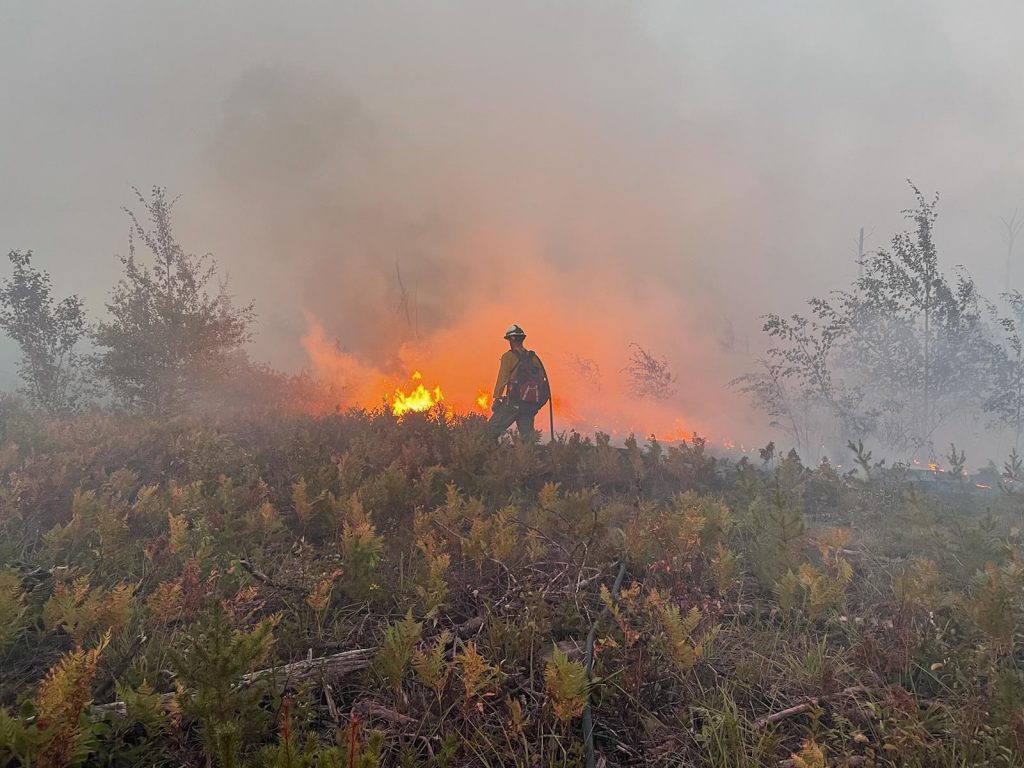 Firefighter stands next to orange flames in brush.