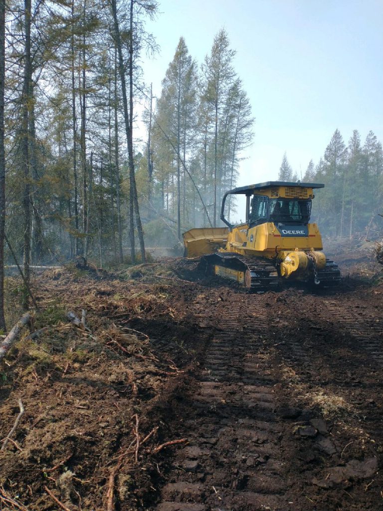 Heavy equipment next to trees.
