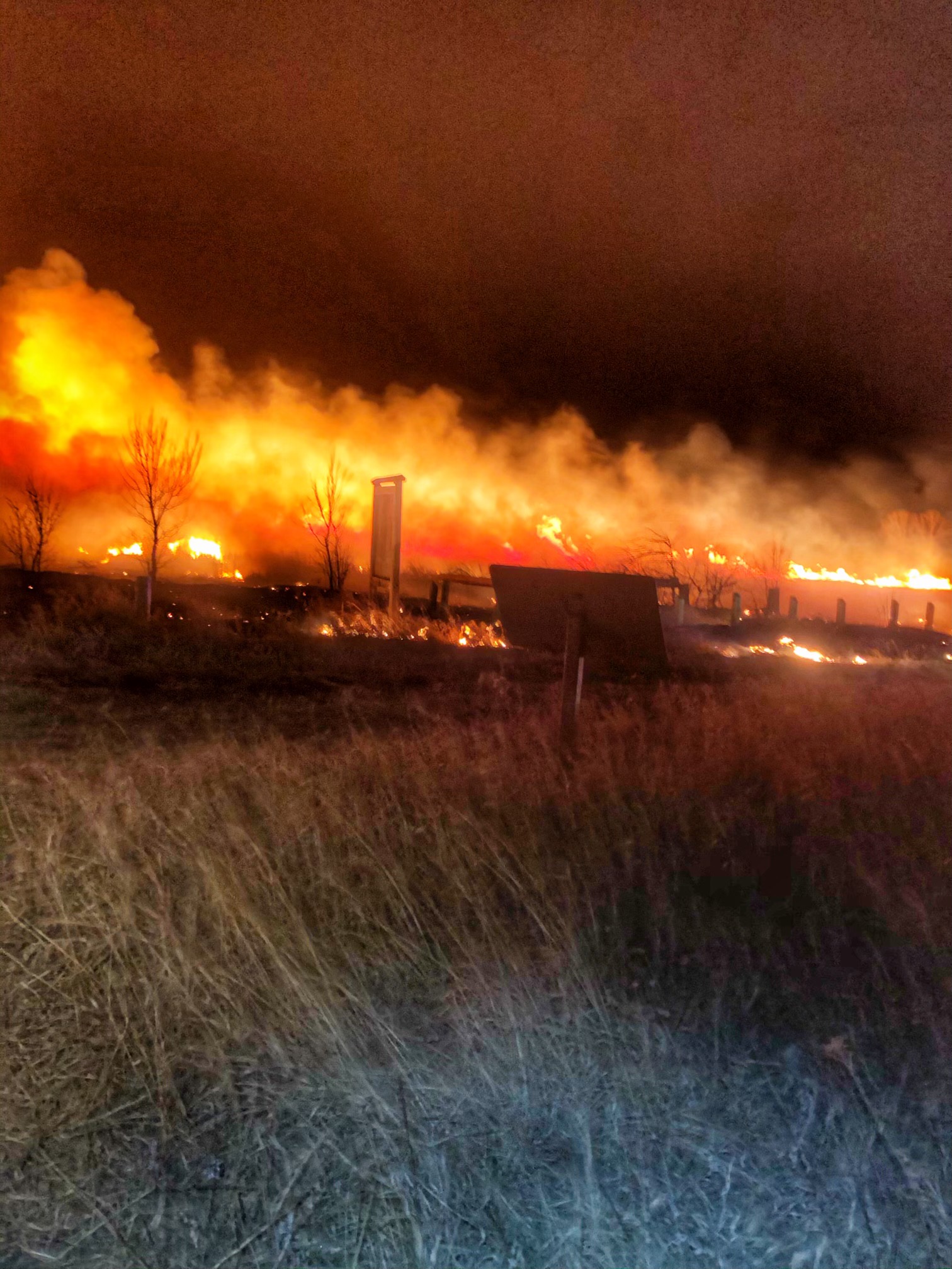 night scene with orange flames in a field