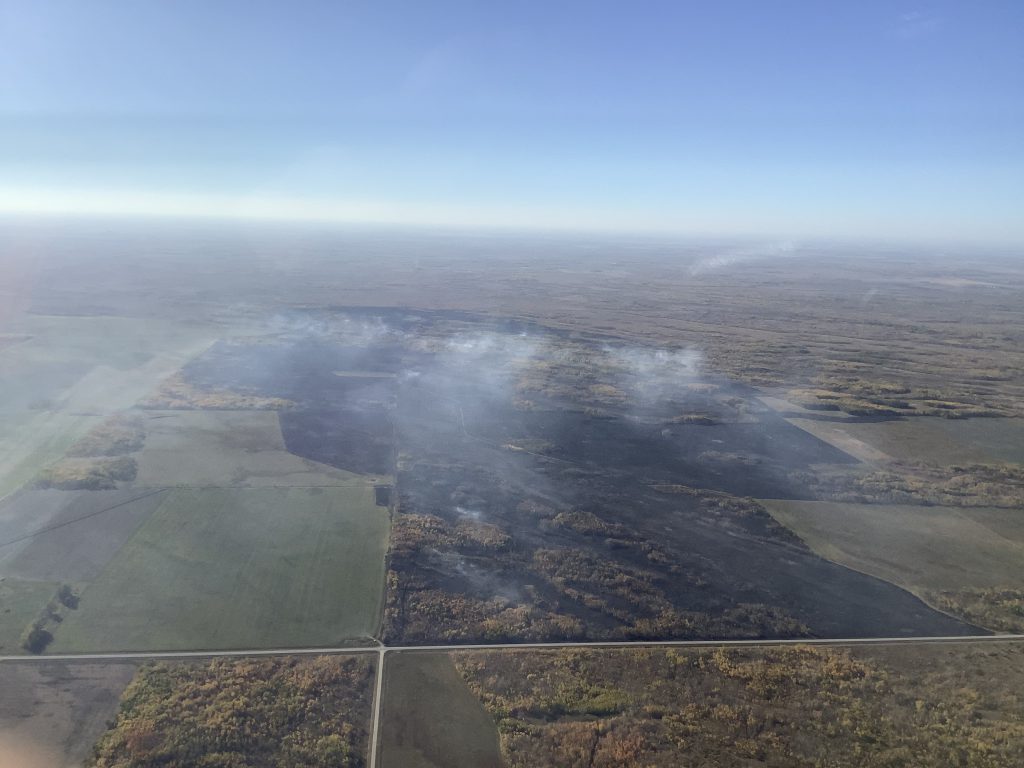 landscape view of burned grass and shrubs