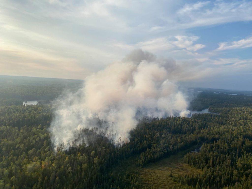Smoke plumes above a forest.