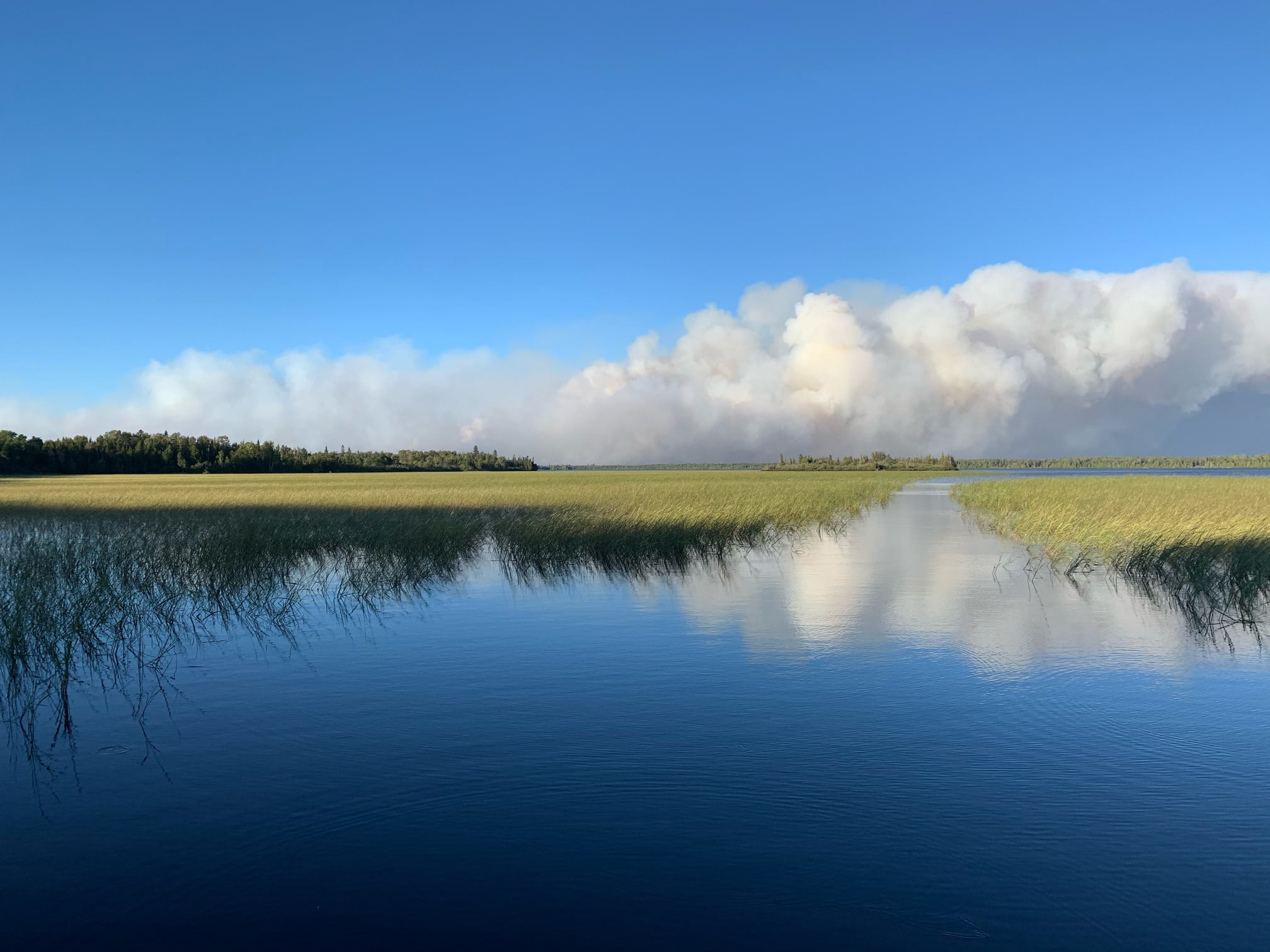 A blue lake, green forest and white smoke in background