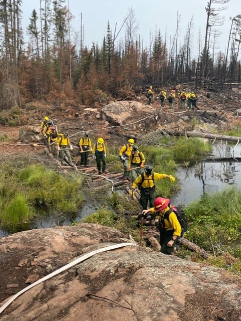 People in yellow shirts walking in a line to a low wetland.