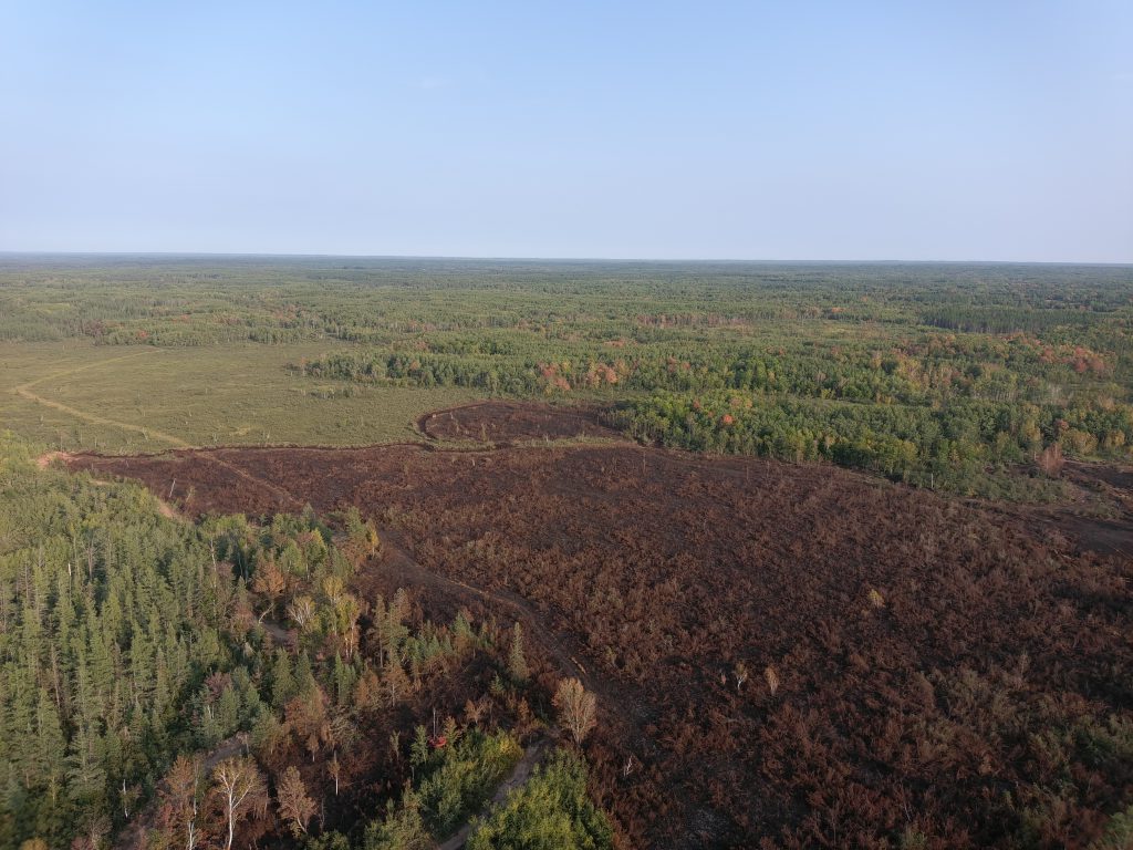 Aerial image of a fire burnt landscape in N MN.