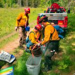Three people in yellow shirts and red hardhats in front of a red fire engine work to fill up a bucket of water.