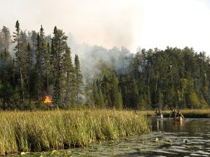 Pagami Creek Fire, Superior NF, Minnesota, September, 2011