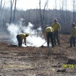 Firefighters work on hotspots on the Palsburg Fire.