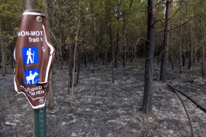 Palsburg Fire burn area and trail sign. Credit: Steve Mortensen, Julie Palkki