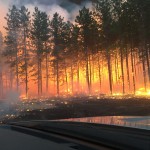 Burning Trees Palsburg Fire April 15, 2015. Credit: Tyler Fish