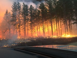 Burning Trees Palsburg Fire April 15, 2015. Credit: Tyler Fish