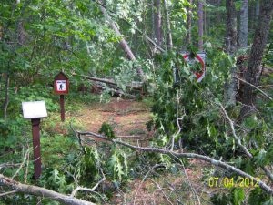 Trees across hiking trail, Chippewa National Forest blowdown 2012