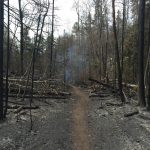 2016 Foss Lake hiking trail after fire
