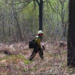 lake-hattie-fire-2016-firefighter-checks-for-hotspots