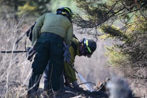 lake-hattie-fire-2016-firefighters-mopping-up
