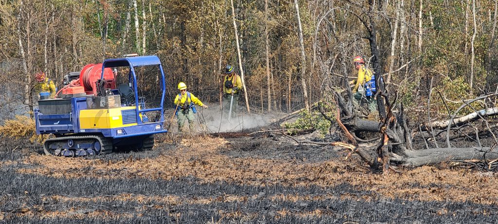 Group of firefighter stand in brush next to blue machine