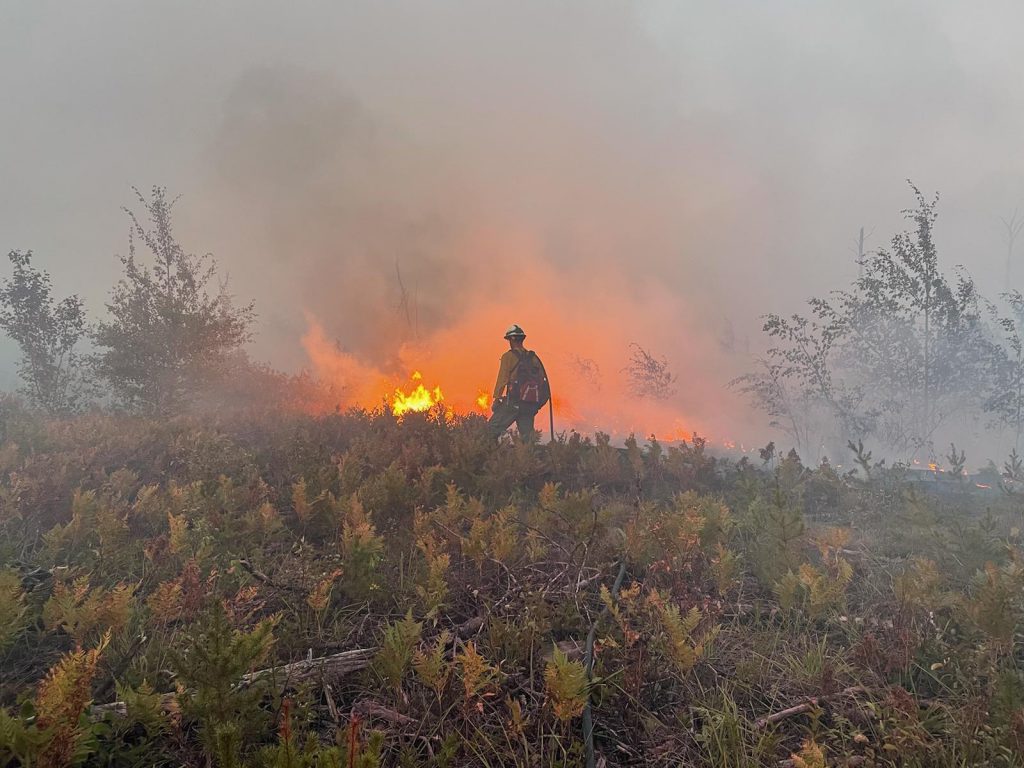Firefighter stands next to orange flames in brush.