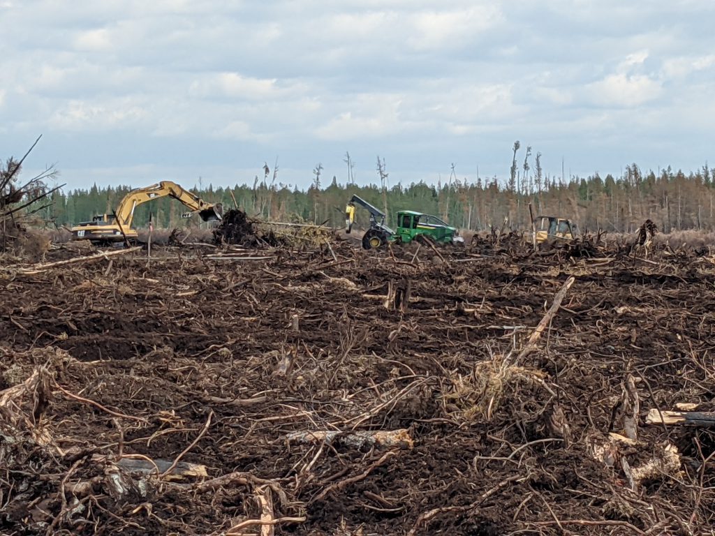 heavy equipment in a logged area.