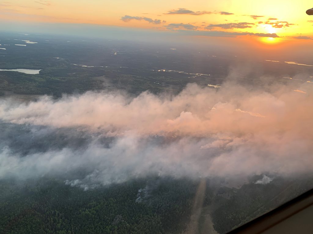 Smoke rising from forest at sunset.