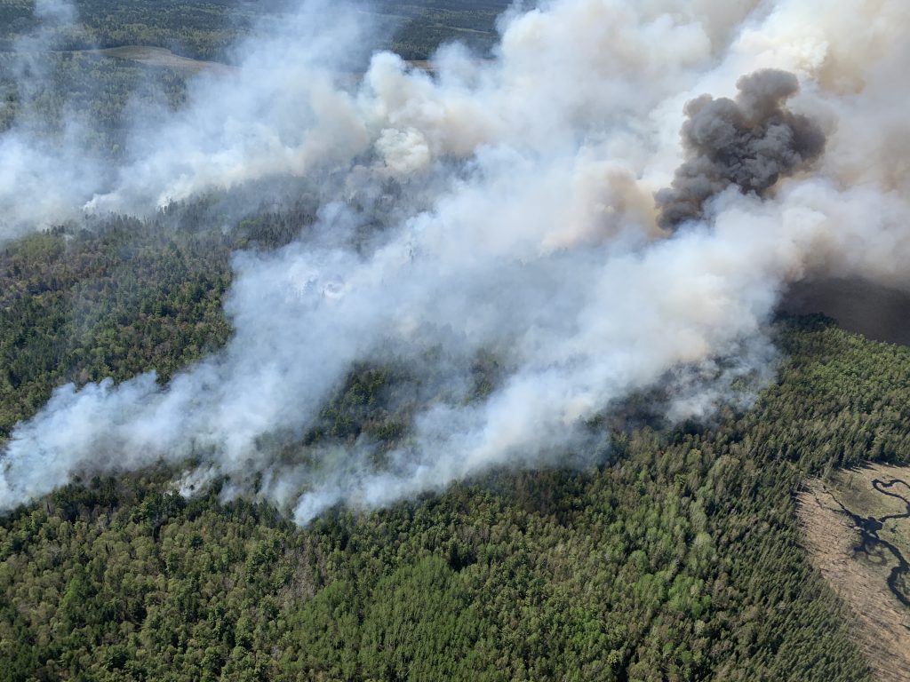 Aerial view of land with smoke rising above a forest.
