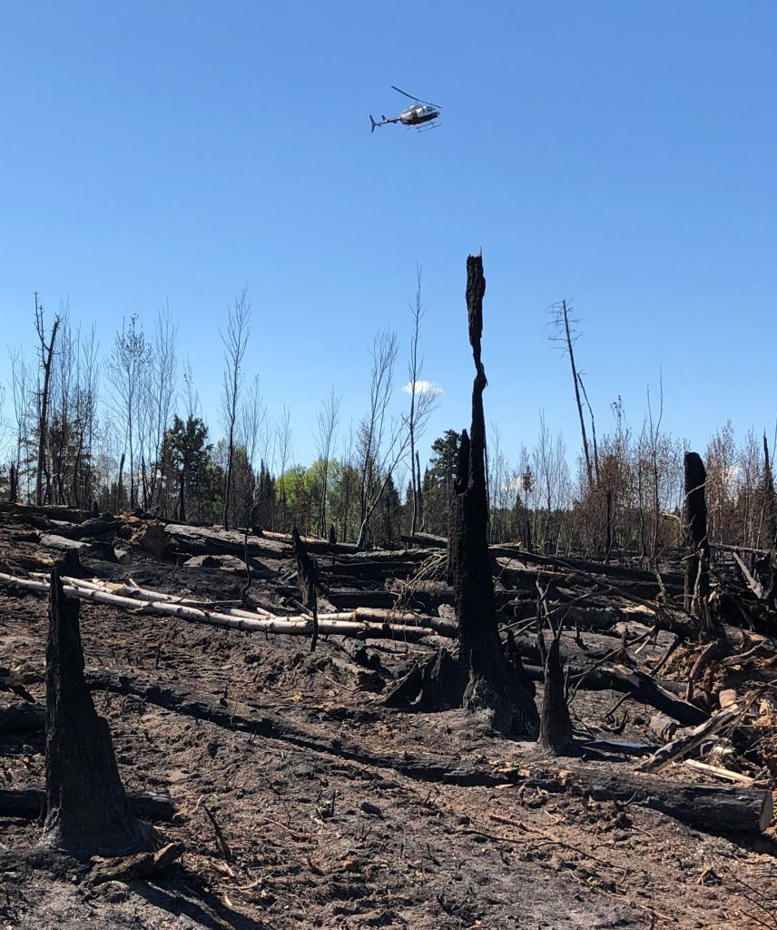 Burned forest and helicopter in blue sky.