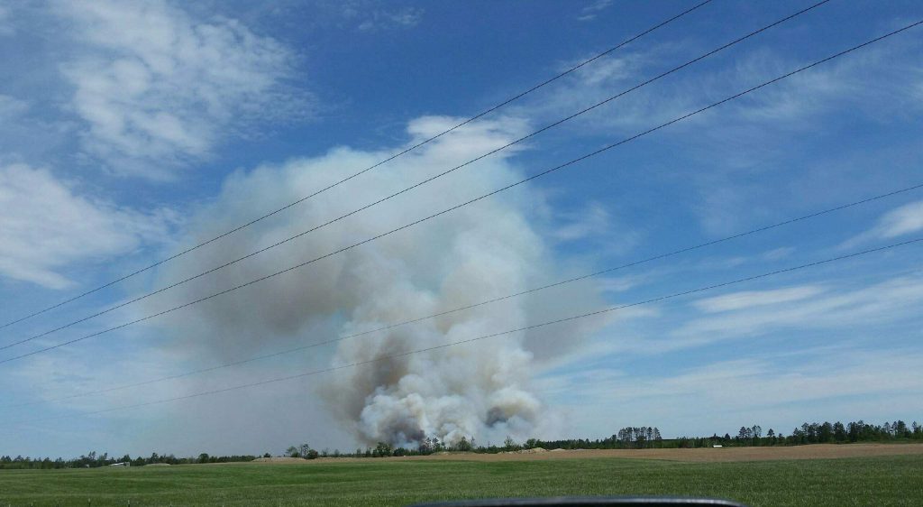 Smoke plume rises above trees next to a field..