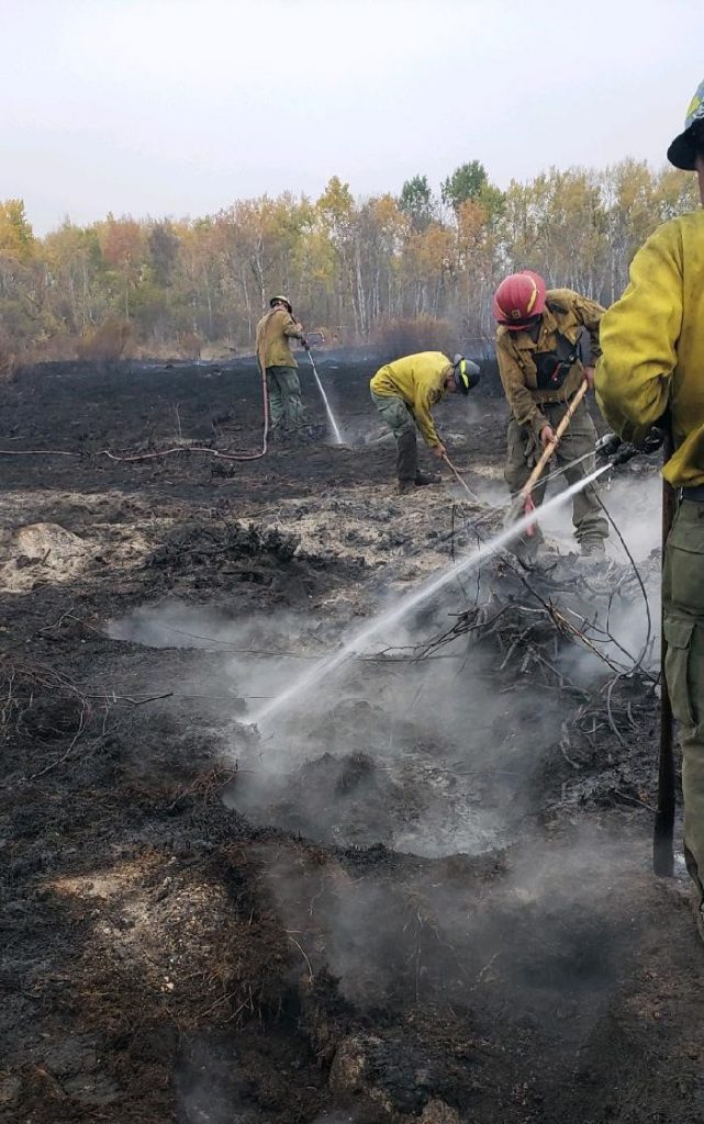 Firefighters in yellow shirts spray water on the ground