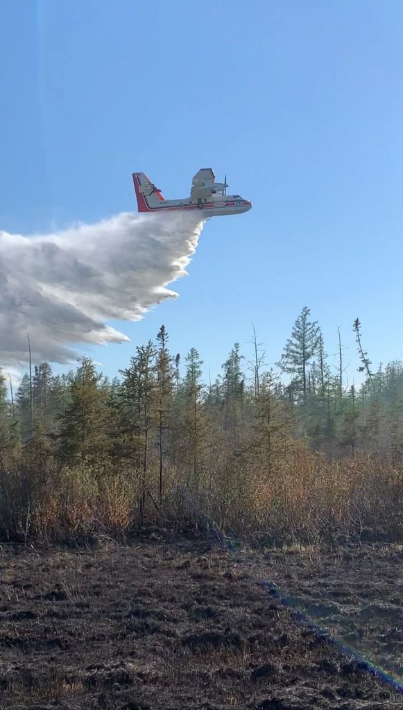 Aircraft dropping water on to trees.