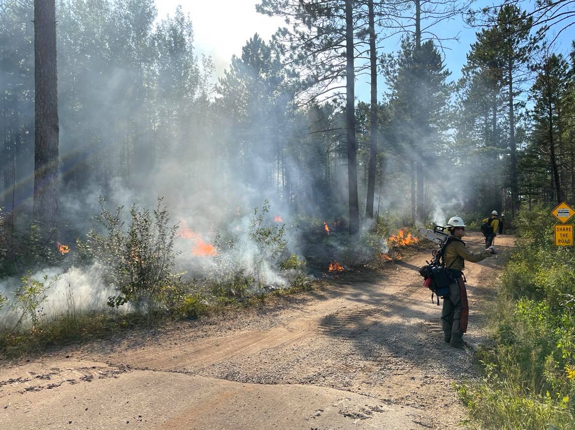 Person standing along road near active fire in forest.