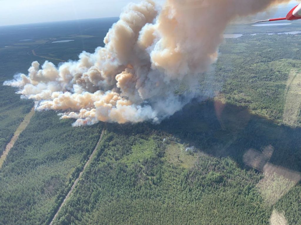 Sky view of smoke plume rising above a forest.