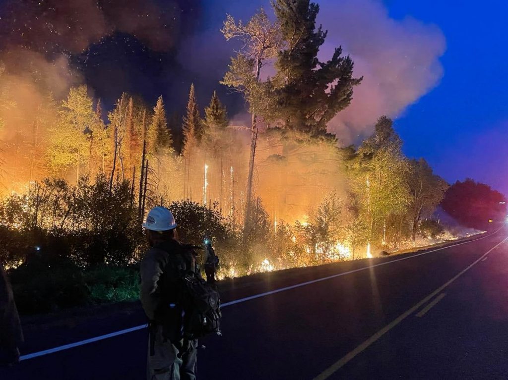 Person standing on a highway nearl flames in forest at nigh.
