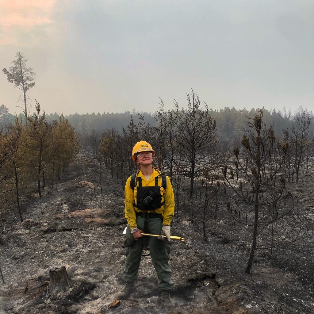 Person stands within a burned area of forest.