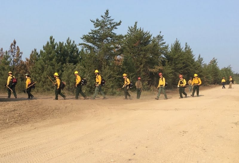 People in yellow shirts walk in a line on dirt path by trees.