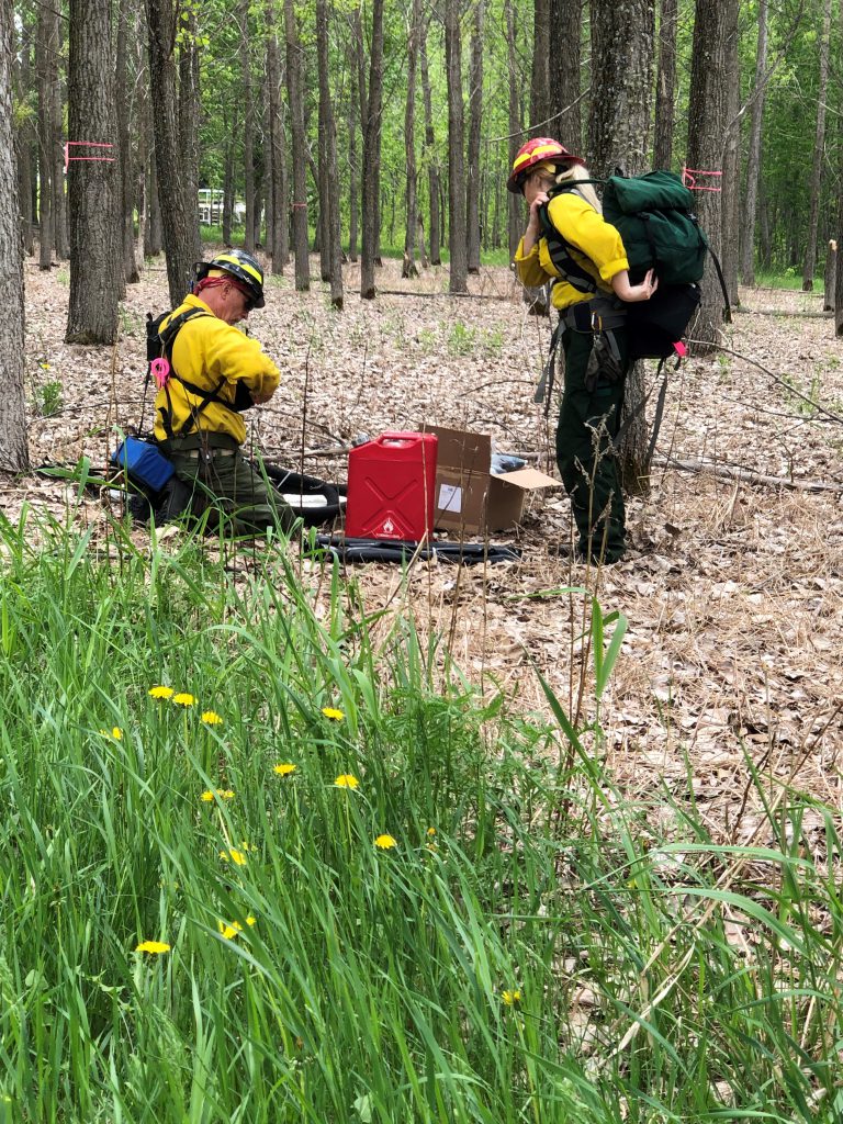 Two people in yellow shirts in a woodland area working next to red box.