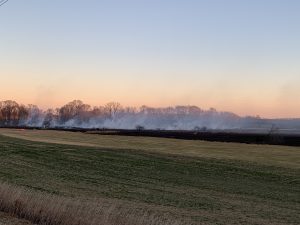 Photograph of open grass field with smoke rising above black burn area trees in background.