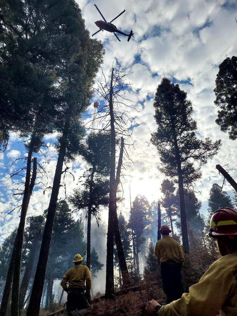 Wildland firefighters in a mountainous woodland look up at a helicopter with a bucket.